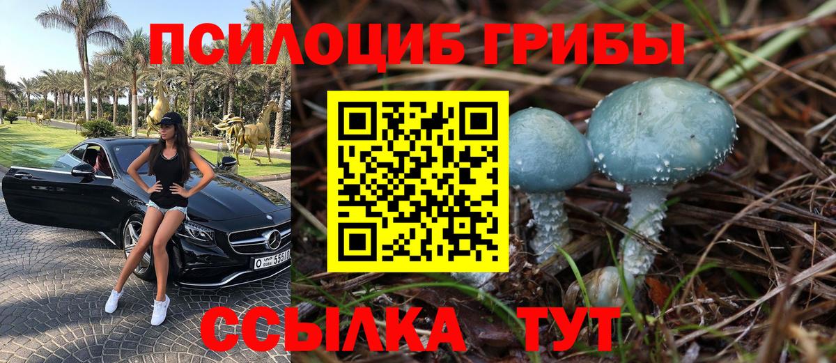 Псилоцибиновые грибы GOLDEN TEACHER Асбест